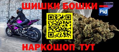 прущие грибы Кулебаки