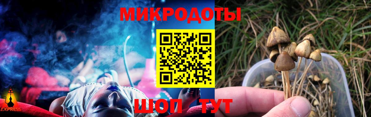 Железноводск  купить закладку  Вход с VPN  Псилоцибиновые грибы Psilocybe 
